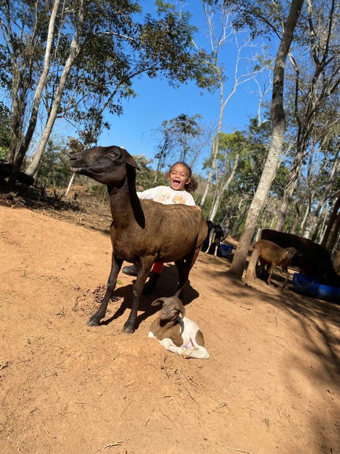 Hotel Fazenda Minas Real Simão Pereira エクステリア 写真