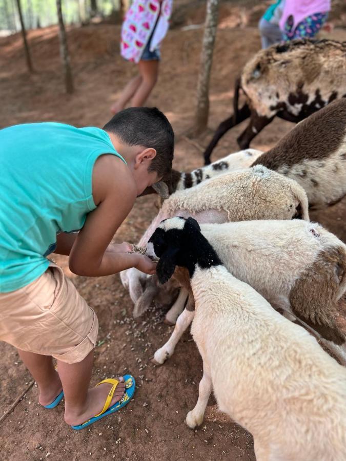 Hotel Fazenda Minas Real Simão Pereira エクステリア 写真